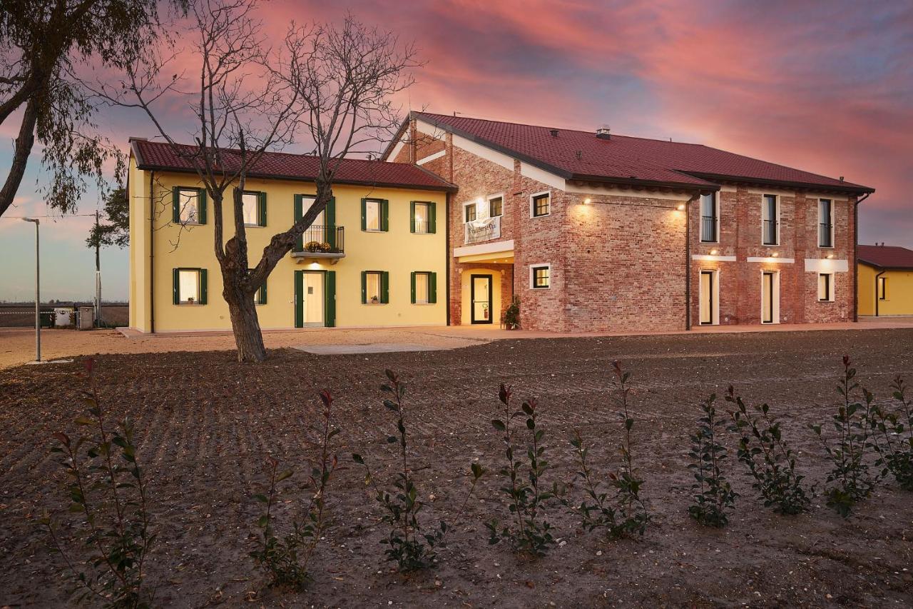 Brussa Horse Oasi Farm stay