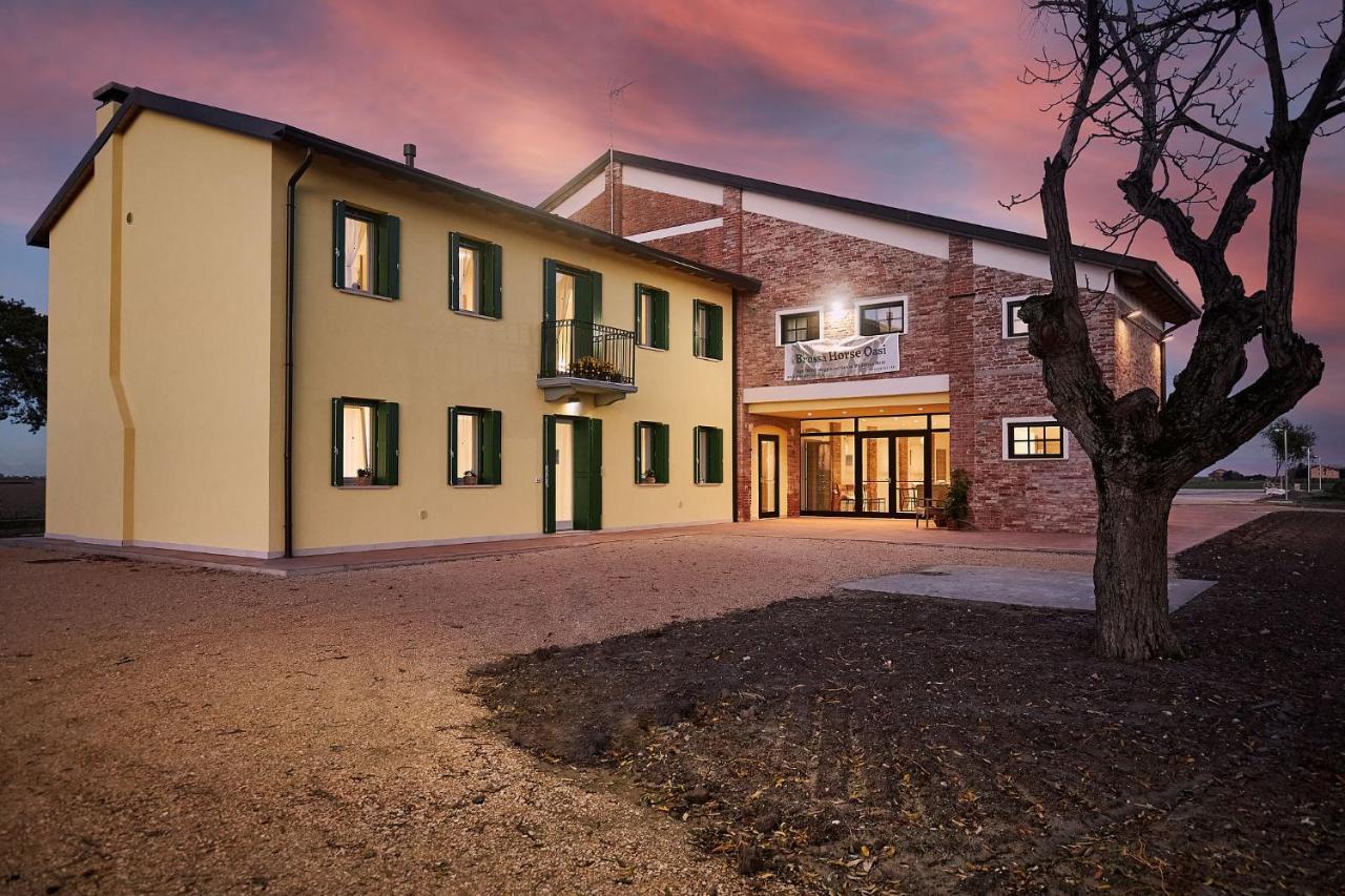 Farm stay Brussa Horse Oasi *