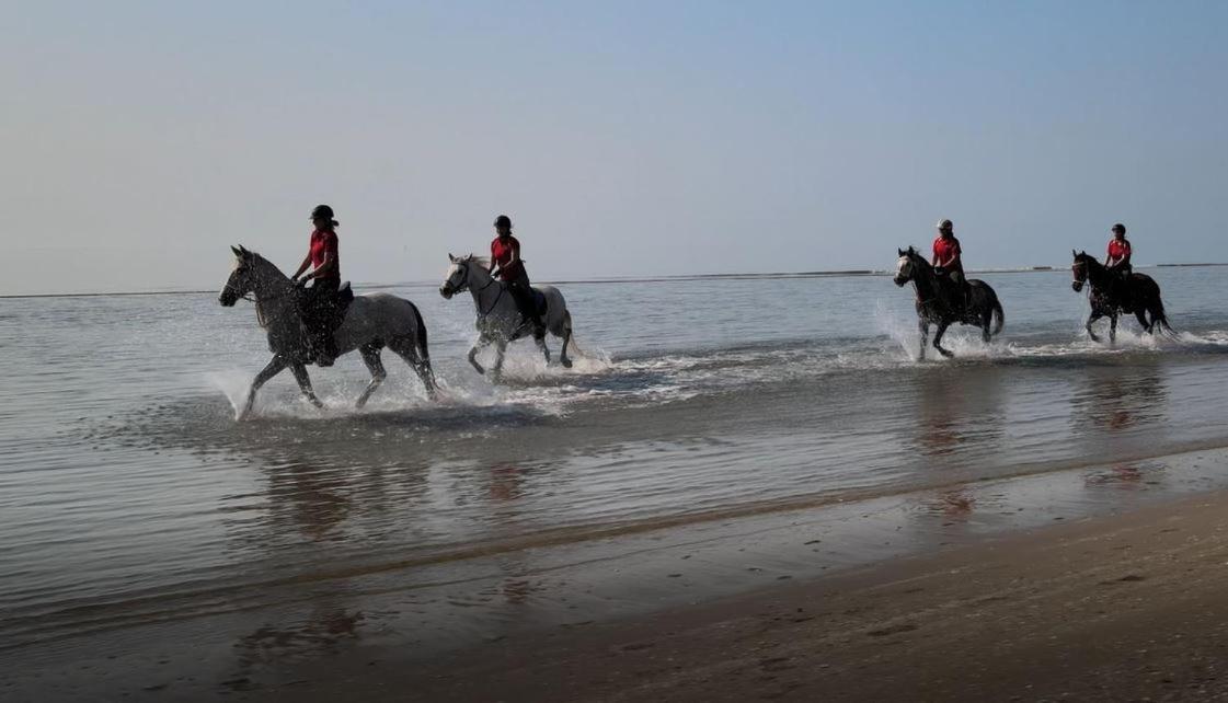 Brussa Horse Oasi Agroturismo Caorle